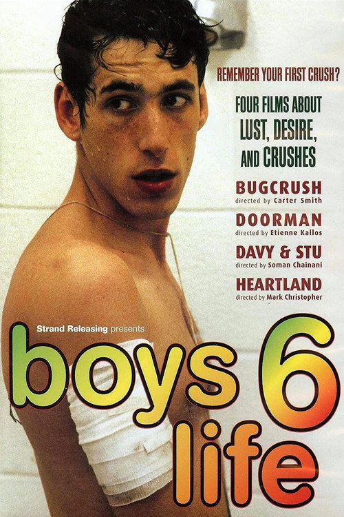 Movie poster for Boys Life 6 (2007)