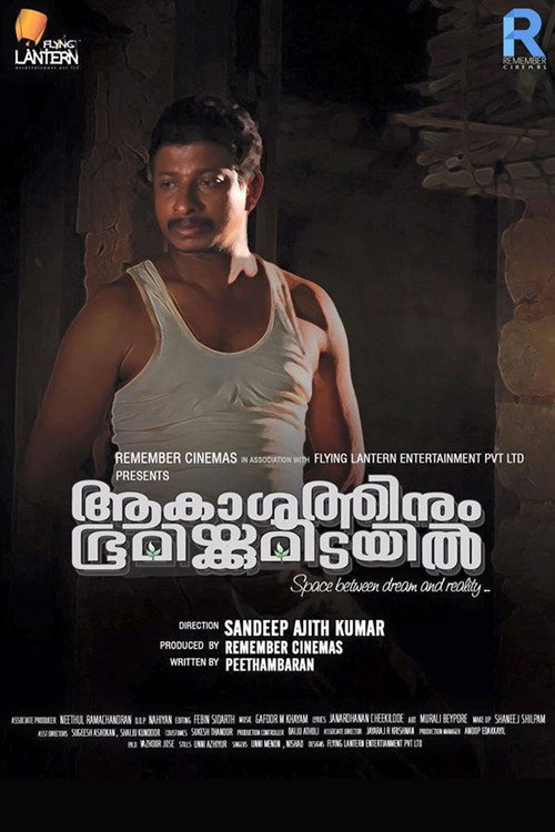 Movie poster for Aakashathinum Bhoomikkumidayil (2017)