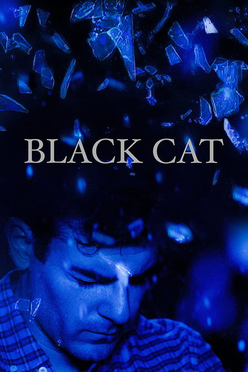 Movie poster for Black Cat (2017)