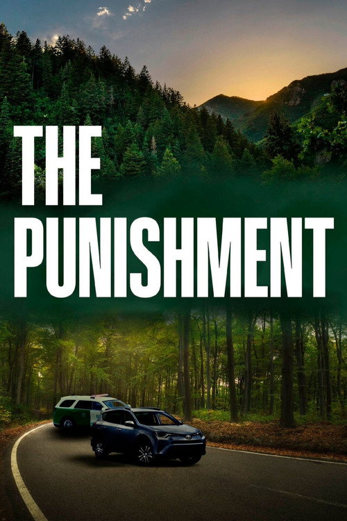 Movie poster for The Punishment (2022)