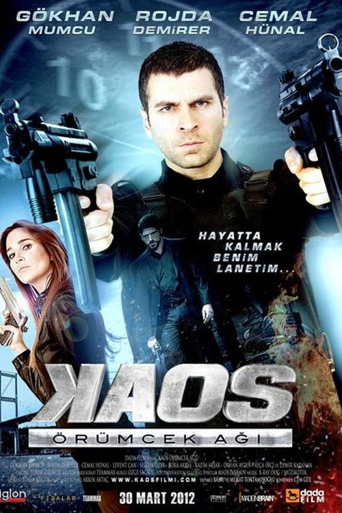 Movie poster for Kaos: Örümcek Ağı (2012)