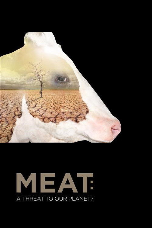 Movie poster for Meat: A Threat to Our Planet (2019)