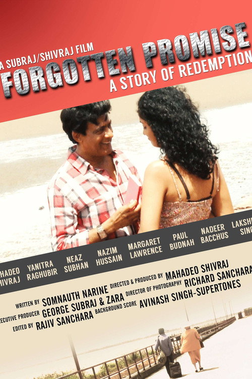 Movie poster for Forgotten Promise (2014)