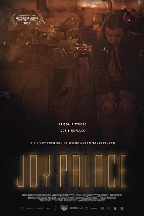Movie poster for Joy Palace (2017)