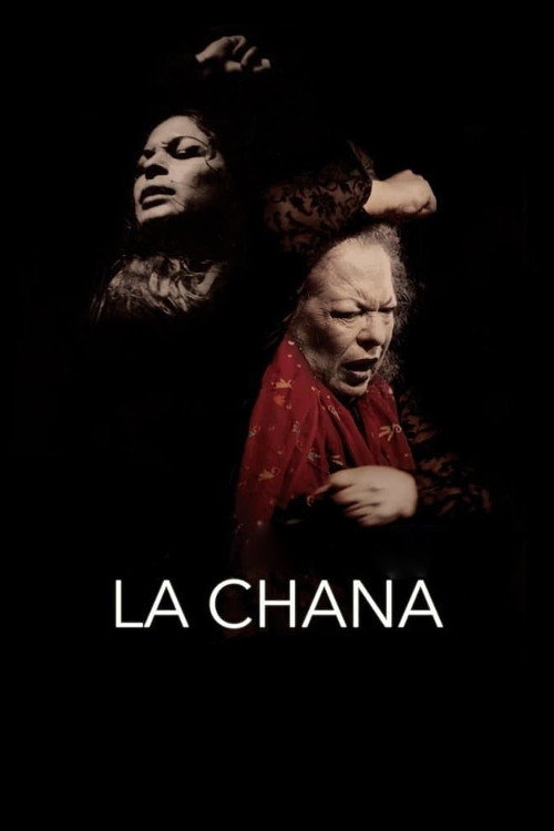 Movie poster for La Chana (2016)