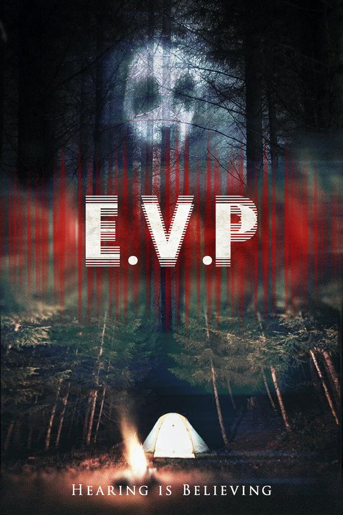 Movie poster for E.V.P.
