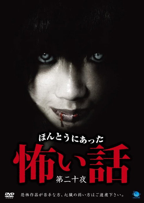 Movie poster for Scary True Stories: Night 20 (2011)