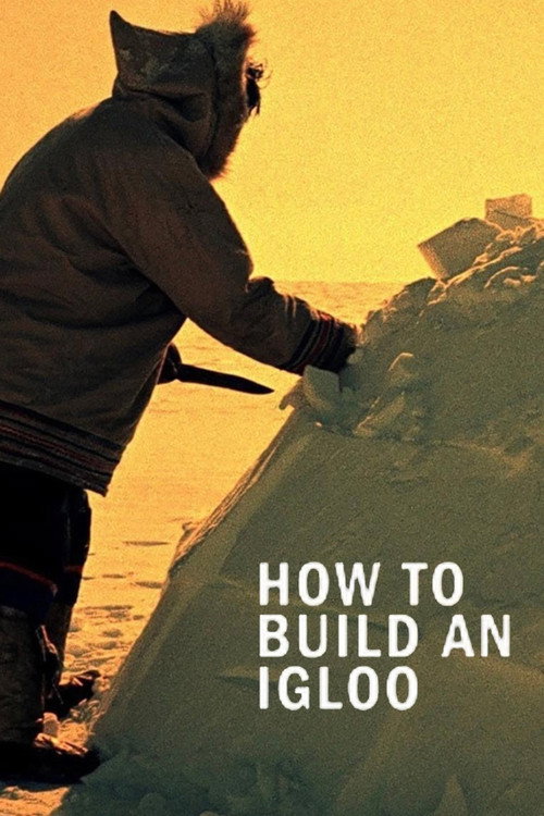 Movie poster for How to Build an Igloo (1949)