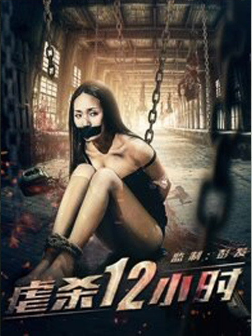 Movie poster for 12 Hours of Torture (2016)