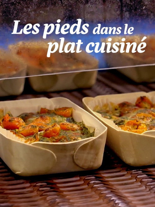 Movie poster for Les pieds dans le plat cuisiné (2024)