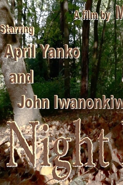 Movie poster for Night Light (2017)