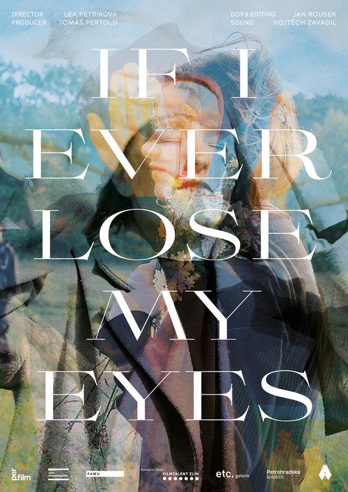 Movie poster for If I Ever Lose My Eyes (2023)