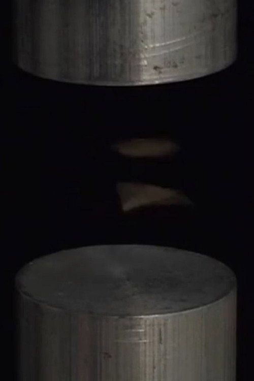 Movie poster for Sonolevitation (2009)