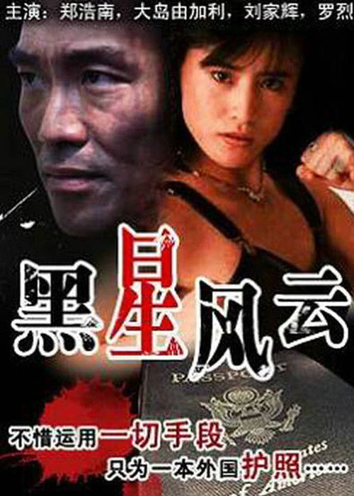 Movie poster for The Story of the Gun (1992)