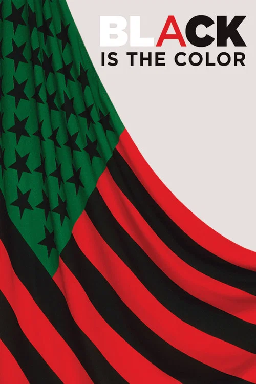Movie poster for Black Is the Color: African-American Artists and Segregation (2016)