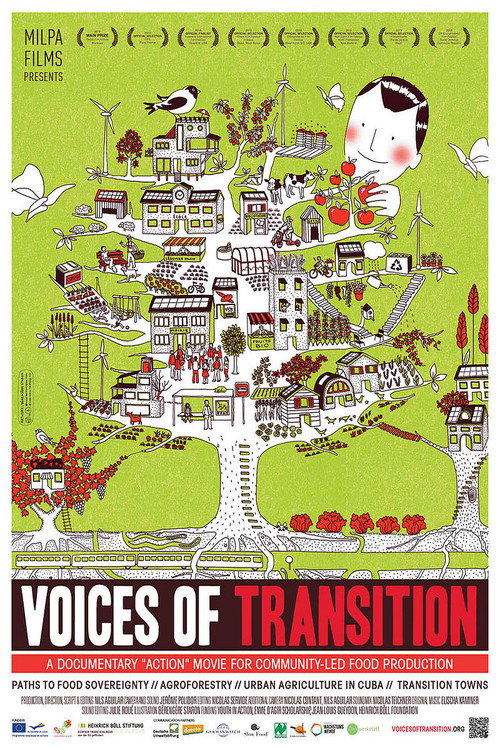 Movie poster for Voices of Transition (2012)