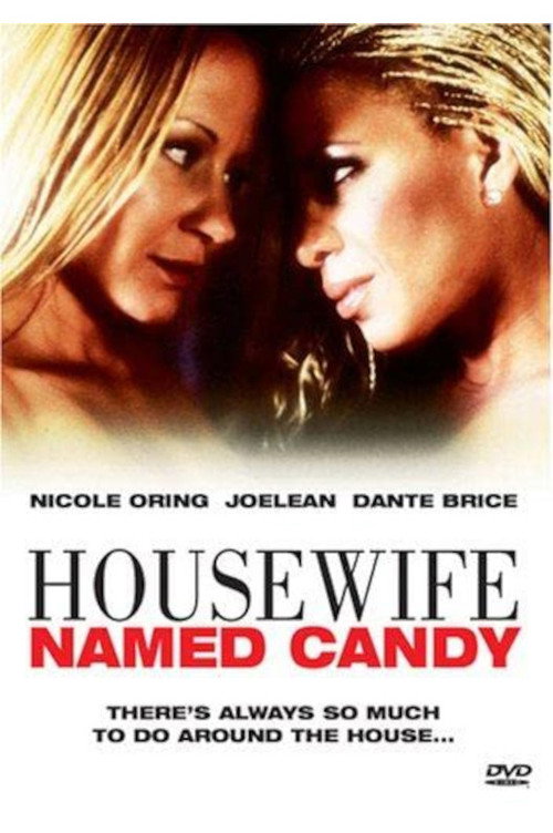 Movie poster for A Housewife Named Candy (2006)