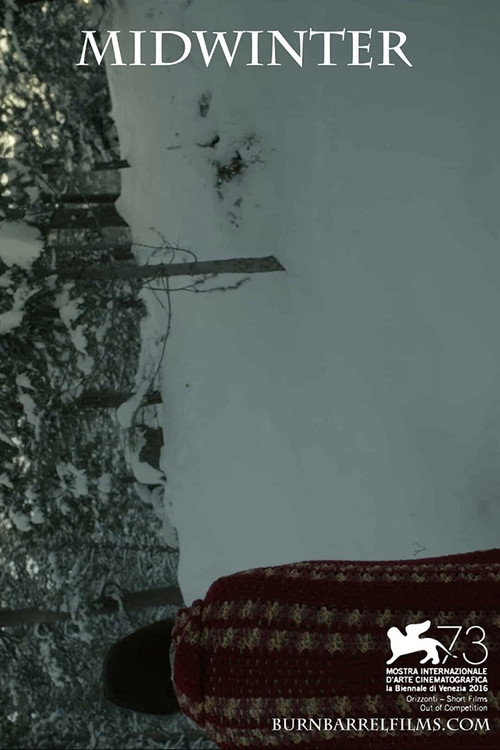Movie poster for Midwinter (2016)