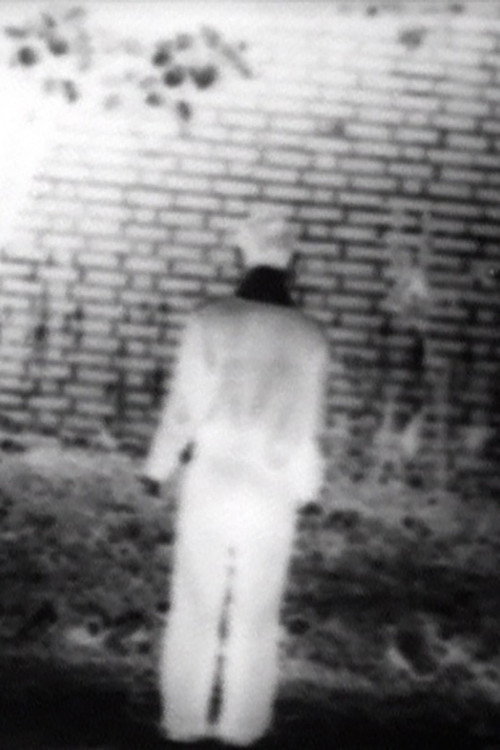 Movie poster for Footsteps (1974)