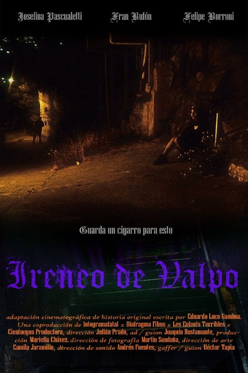 Movie poster for Ireneo de Valpo (2024)