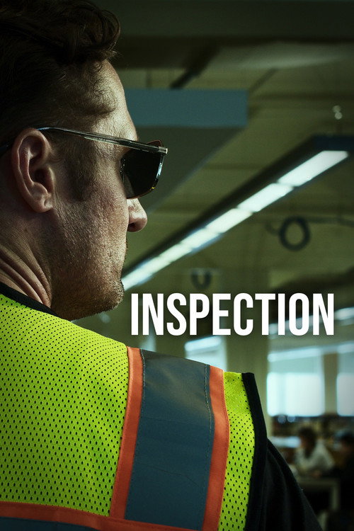 Movie poster for Inspection