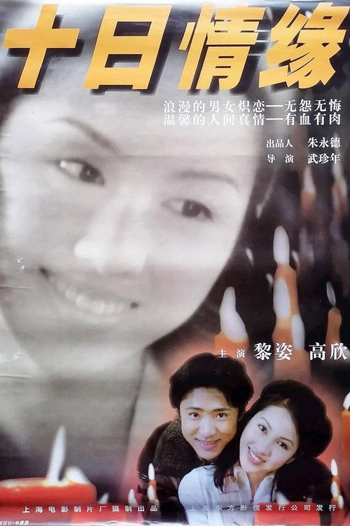 Movie poster for Love Affair (1997)