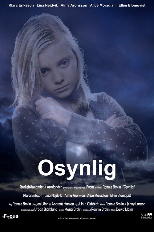 Movie poster for Invisible (2008)