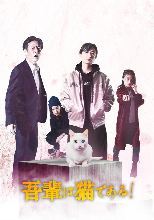 Movie poster for I'm a cat! (2021)