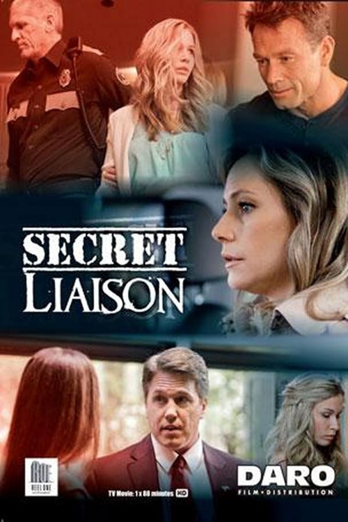 Movie poster for Secret Liaison (2013)