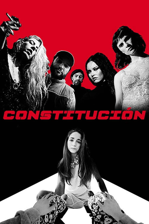 Movie poster for Constitución (2016)