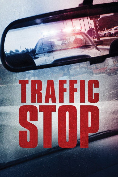 Movie poster for Traffic Stop (2017)