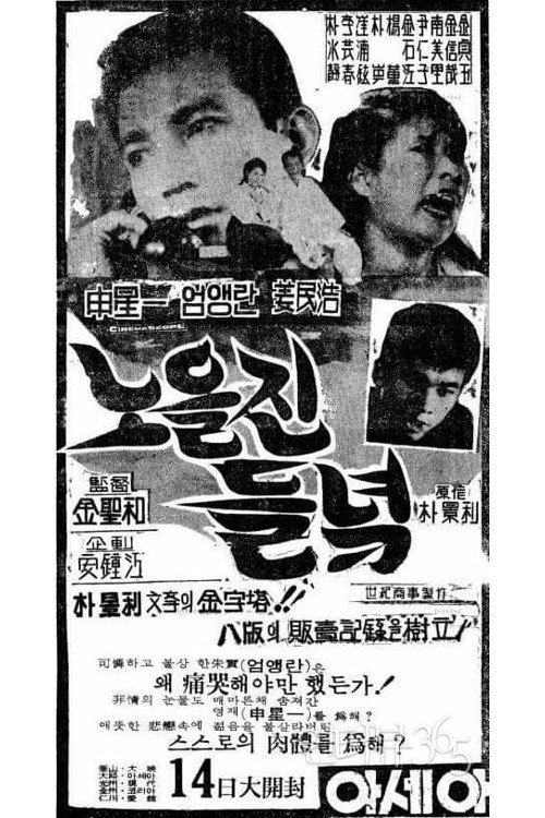 Movie poster for The Field Glow with the Setting Sun (1965)