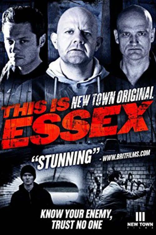 Movie poster for New Town Original (2005)