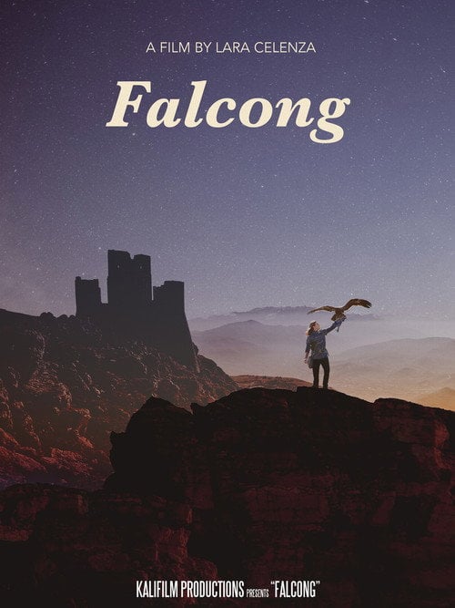 Movie poster for Falcong