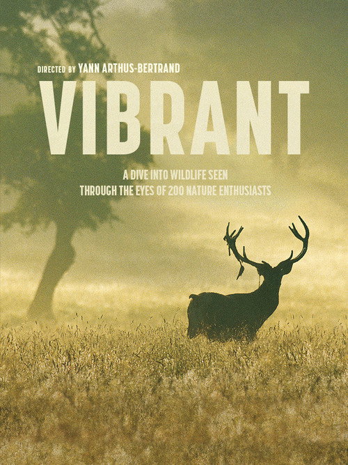 Movie poster for Vibrant (2023)