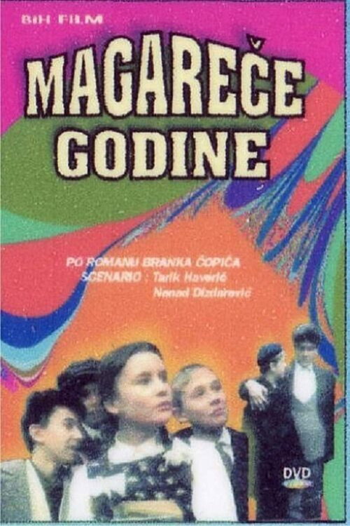 Movie poster for The Awkward Age (1994)