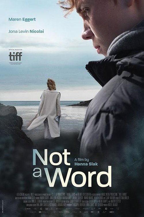 Movie poster for Not a Word (2024)