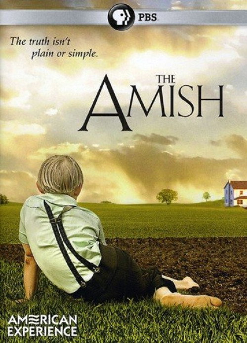 Movie poster for The Amish (2012)