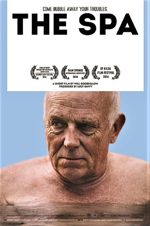 Movie poster for The Spa (2015)