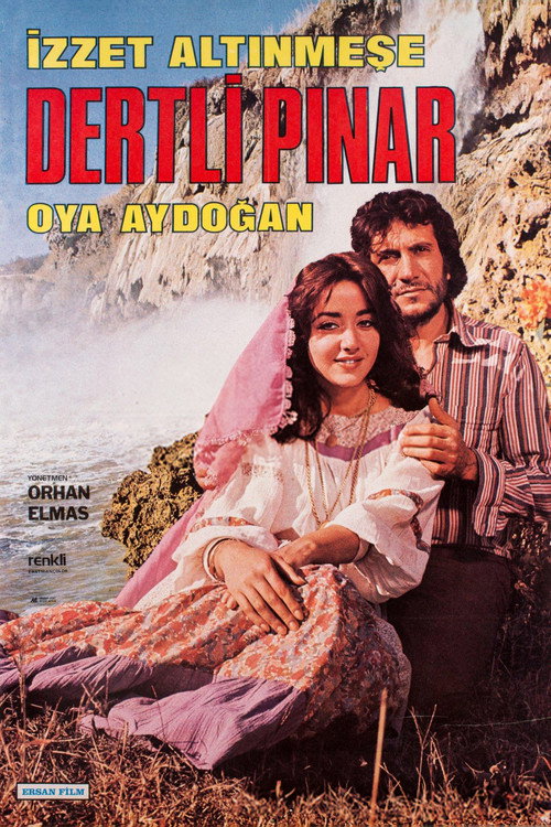 Movie poster for Dertli Pınar (1979)