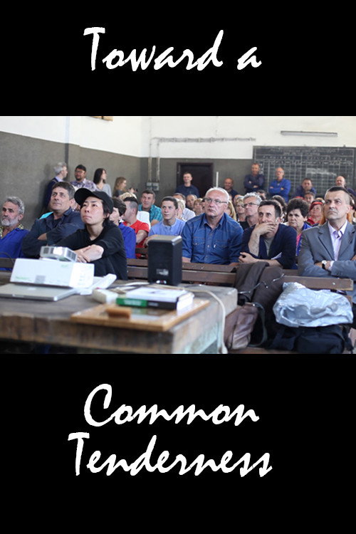 Movie poster for Toward a Common Tenderness (2017)