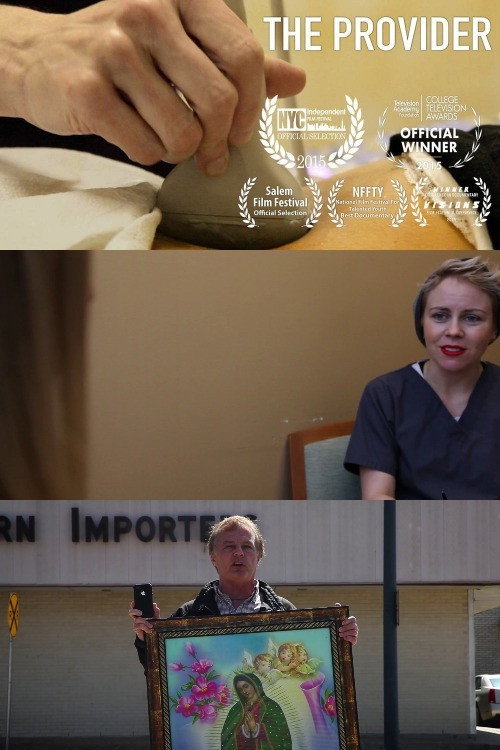 Movie poster for The Provider (2015)