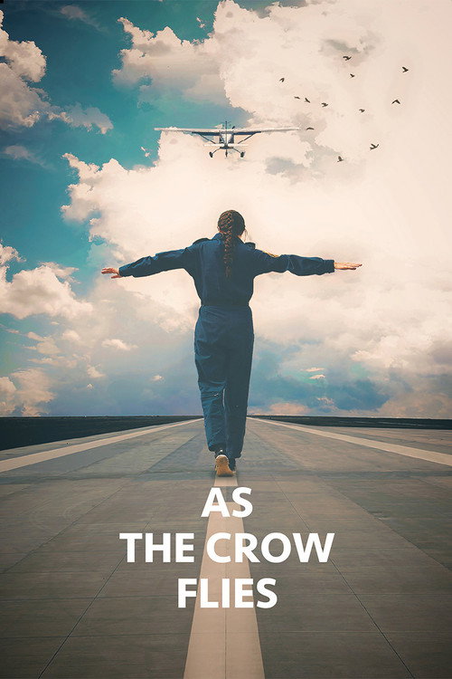 Movie poster for As the Crow Flies (2017)