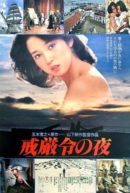 Movie poster for The Night of Martial Law (1980)