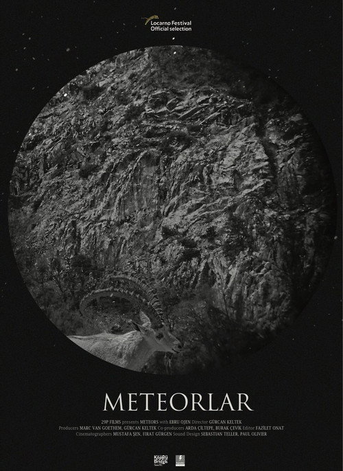 Movie poster for Meteors (2017)