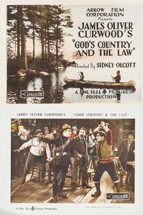 Movie poster for God's Country and the Law (1921)