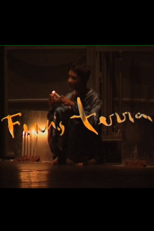 Movie poster for Finisterra (2001)