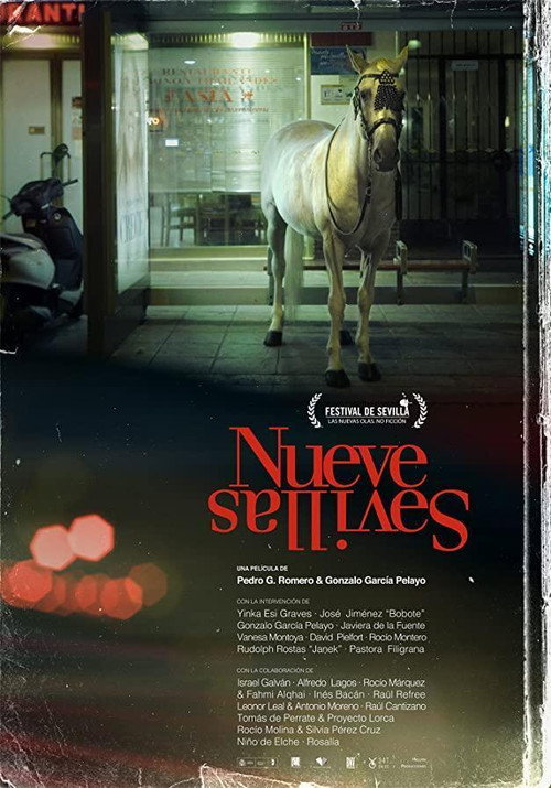 Movie poster for Nine Sevilles (2021)