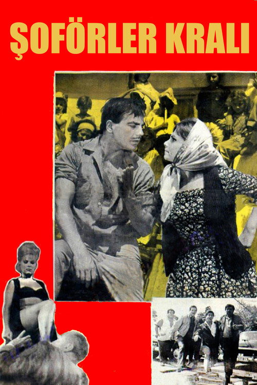 Movie poster for Şoförler Kralı (1964)