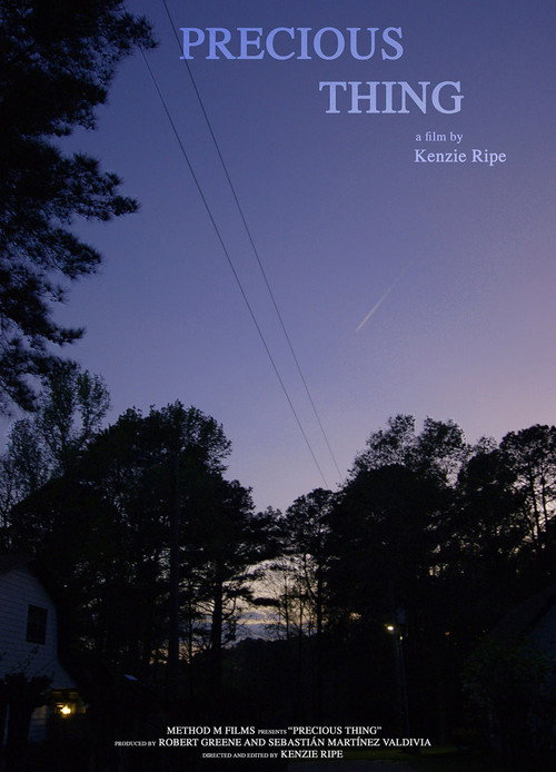 Movie poster for Precious Thing (2026)